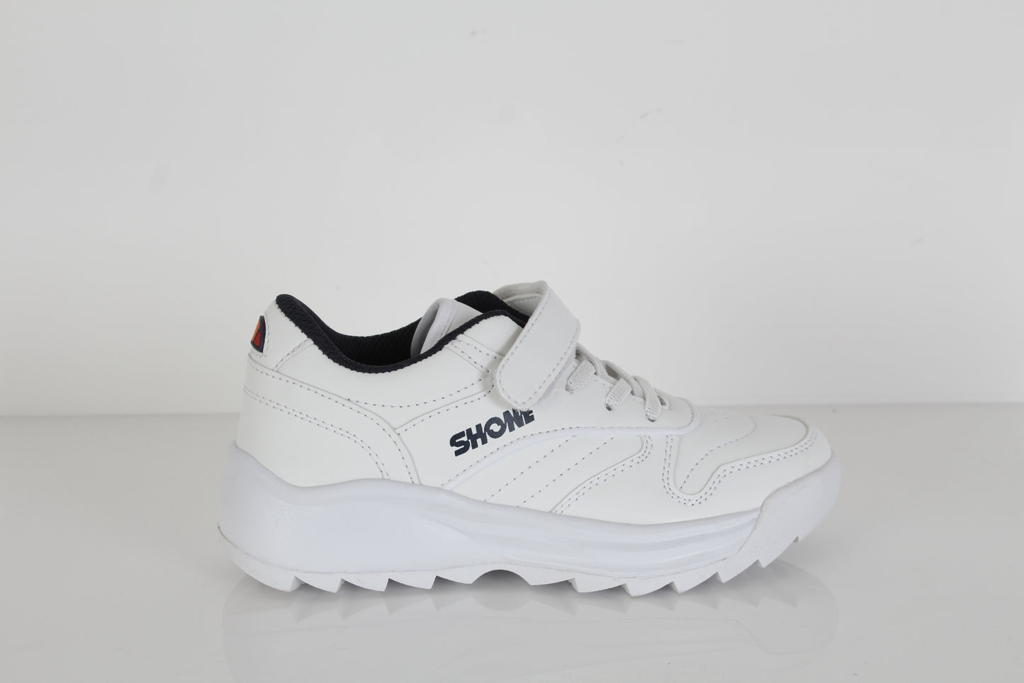SHONE DYNAMIC