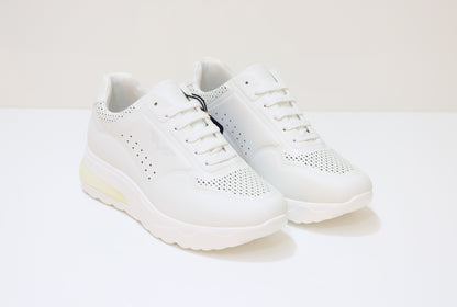 ARMATA DI MARE Trainers